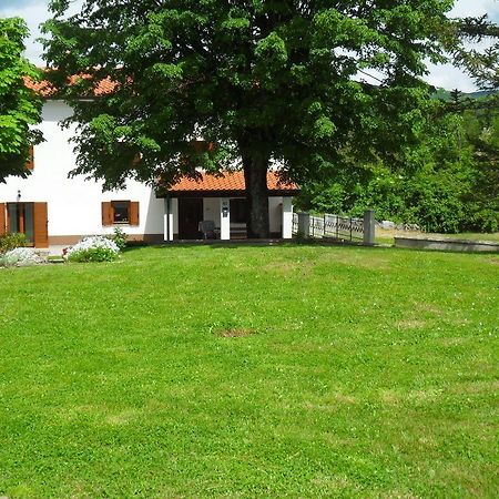 Apartment Bartulasi Roč Cameră foto
